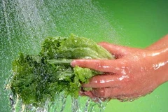 Ảnh minh họa. (Nguồn: Internet)