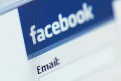 Ảnh minh họa. (Nguồn: Internet)