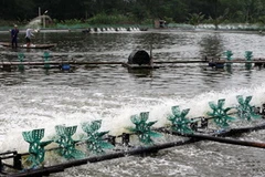 Một khu vực nuôi tôm. (Ảnh: Trần Việt/TTXVN)