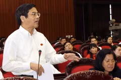 Đại biểu Quốc hội tỉnh An Giang Lê Bộ Lĩnh phát biểu ý kiến. (Ảnh: Thái Bình/TTXVN).