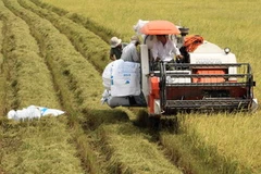 (Ảnh minh họa: Duy Khương/TTXVN)