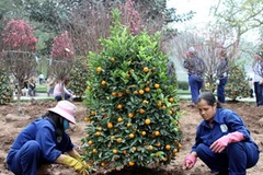 (Ảnh minh họa: Bùi Tường/TTXVN)