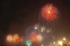 (Ảnh minh họa: Danh Lam/TTXVN)