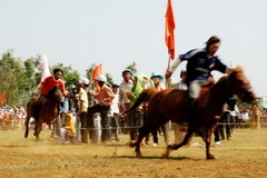 Đua ngựa truyền thống tại Phú Yên. (Ảnh: Thế Lập/TTXVN).