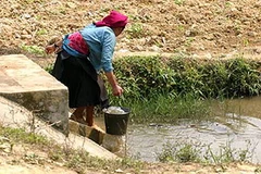 Ảnh minh họa. (Nguồn: Internet).