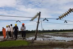 Cán bộ, công nhân Điện lực Hải Phòng kiểm tra hiện trường vị trí cột 54, đường dây 110 kV bị đổ gãy. (Ảnh: Trọng Đức/TTXVN).