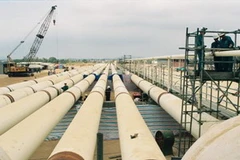 Ảnh minh họa. (Nguồn: Internet).