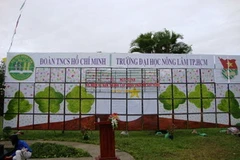 Bức tranh ghép gỗ về chủ đề môi trường lớn nhất Việt Nam. (Ảnh: MH/Vietnam+)