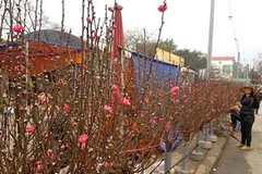 (Ảnh: Quỳnh Trang/Vietnam+)