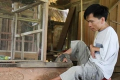 Người khuyết tật. (Ảnh minh họa: Phương Hoa/TTXVN)