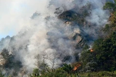 (Ảnh minh họa: Lục Văn Toán/TTXVN)