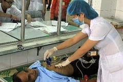 (Ảnh: Dương Ngọc/TTXVN)