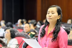 Đại biểu Quốc hội thành phố Hà Nội Nguyễn Thị Hồng Hà phát biểu ý kiến. (Ảnh: Thái Bình/TTXVN).