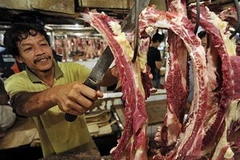 Ảnh minh họa. (Nguồn: thejakartapost)