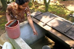 (Ảnh minh họa: Thế Lập/TTXVN)