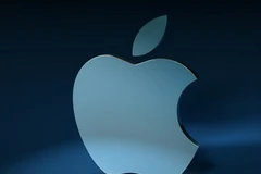 Ảnh minh họa. (Nguồn: Internet)