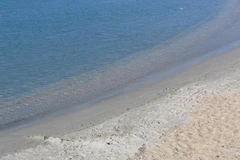 (Ảnh minh họa: Internet).