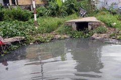 (Ảnh minh họa: Hoàng Ngọc/Vietnam+)