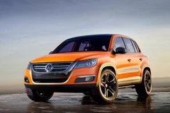 Ảnh minh họa. (Nguồn: Internet)