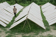 Sản xuất mỳ tại xã Dĩnh Kế. (Nguồn: Báo Bắc Giang)