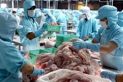 Sản xuất cá tra xuất khẩu. (Ảnh: TTXVN)