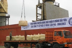 15.000 tấn clinker được xuất sang thị trường Trung Đông. (Ảnh: Thu Hằng/Vietnam+)
