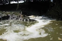 Ảnh minh họa. (Nguồn: Internet)