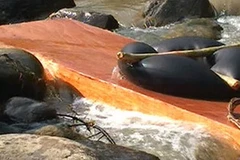 Gỗ được kẹp phao bỏ trôi theo dòng sông Tang khi phát hiện có lực lượng công an tuần tra. (Nguồn: Quangngai.gov.vn)