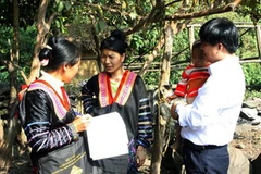 (Ảnh minh họa: Dương Ngọc/TTXVN)