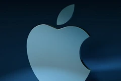 Ảnh minh họa. (Nguồn: Internet)