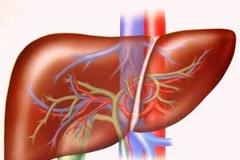 Ảnh minh họa. (Nguồn: Internet)