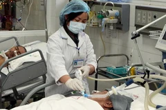 (Ảnh minh họa: Dương Ngọc/TTXVN)