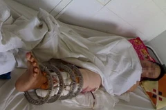 Ảnh minh họa. (Nguồn: Internet).