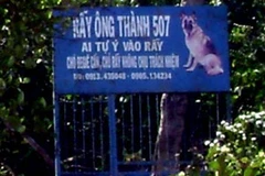 Tấm biển được cho là mới được dựng lên sau khi xảy ra vụ việc. (Ảnh: Trần Nguyên/Vietnam+).