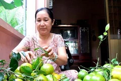 (Nguồn: Tinkinhte.com)