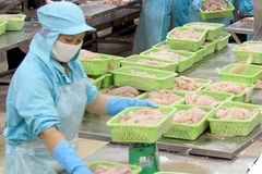 (Ảnh minh họa: Duy Khương/TTXVN)