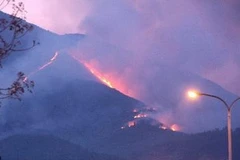 (Ảnh minh họa: Trần Lê Lâm/TTXVN)