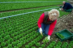 Ảnh minh họa. (Nguồn: europarl.europa.eu)