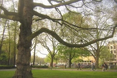 Ảnh minh họa. (Nguồn: Internet)