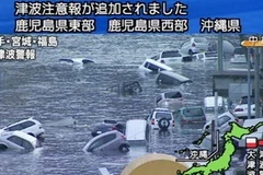 Nhiều nhà cửa, xe cộ, tàu bè bị nước cuốn trôi (Nguồn: NHK)