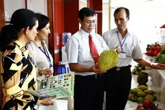 Các đại biểu tìm hiểu các loại trái cây đặc sản trưng bày tại hội thảo. (Ảnh Đình Huệ/TTXVN). 