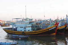 (Ảnh minh họa: Ngọc Hà/TTXVN)