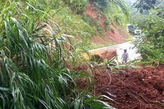 (Ảnh minh họa: Chu Quốc Hùng/TTXVN)