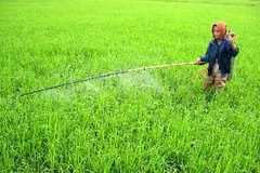 Ảnh minh họa. (Nguồn: Internet)