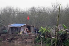 Căn nhà tạm gia đình ông Đoàn Văn Vươn mới dựng. (Ảnh: Hoàng Ngọc/Vietnam+)