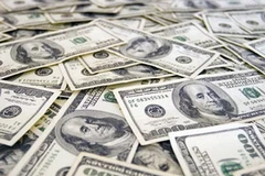 Ảnh minh họa. (Nguồn: Internet)