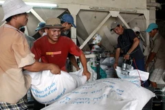 (Ảnh minh họa: Thanh Vũ/TTXVN)