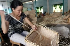 (Ảnh minh họa: Trần Việt/TTXVN)