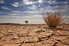 Ảnh hưởng của biến đổi khí hậu. (Ảnh minh họa. Nguồn: Internet)