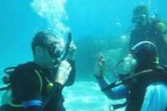 Ảnh minh họa. (Nguồn: Internet)